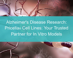 Alzheimer's Disease Research: Pricella® Cell Lines: Your Trusted Partner for In Vitro Models - cover